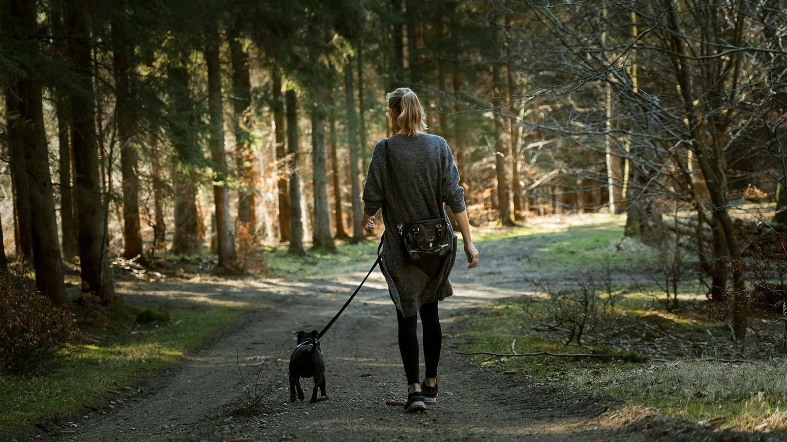 Mujer paseando a un labrador negro por un sendero